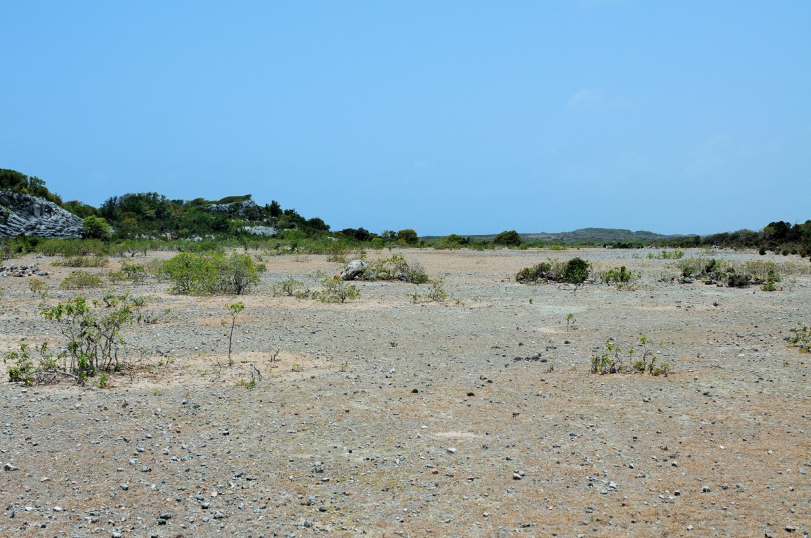 And had they alighted (which they didn’t), they would have seen the remains of this dust airstrip, except the runway wouldn’t have been blocked with stones–that didn’t happen until the 1980s, when the DEA took the islet by storm